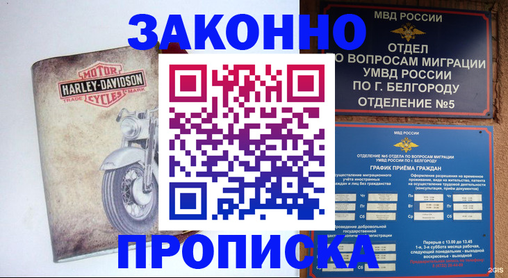 прописка для школы в Зеленокумске